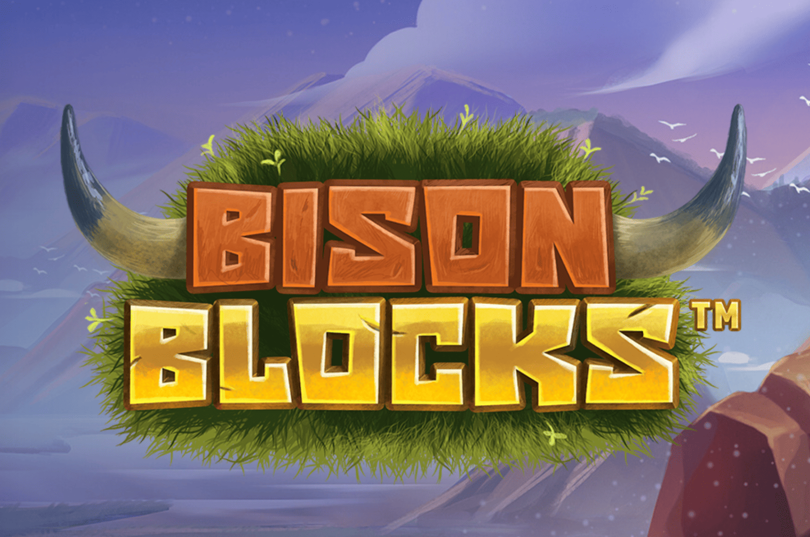 Bison Blocks